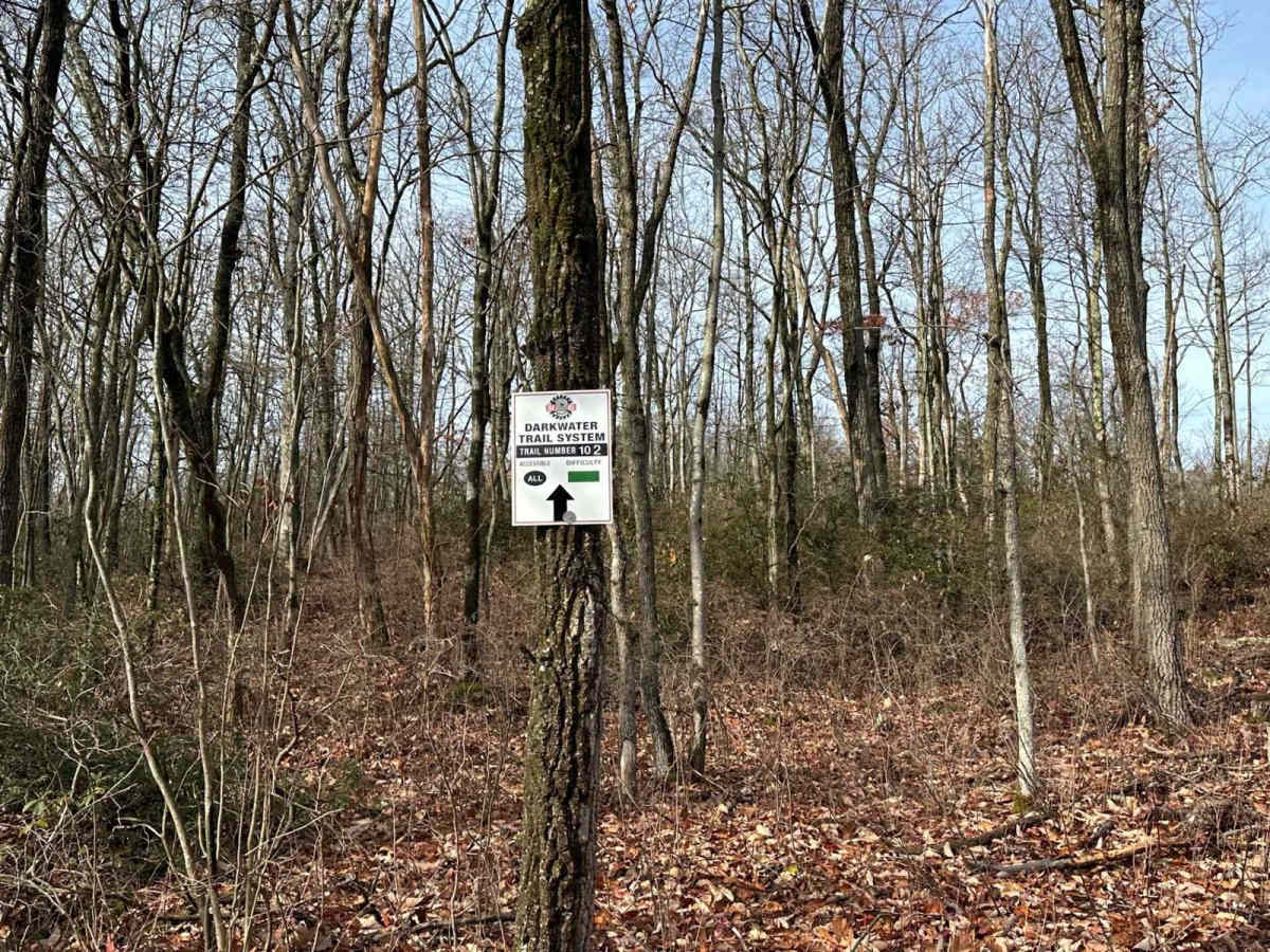 Darkwater 102 photo 2