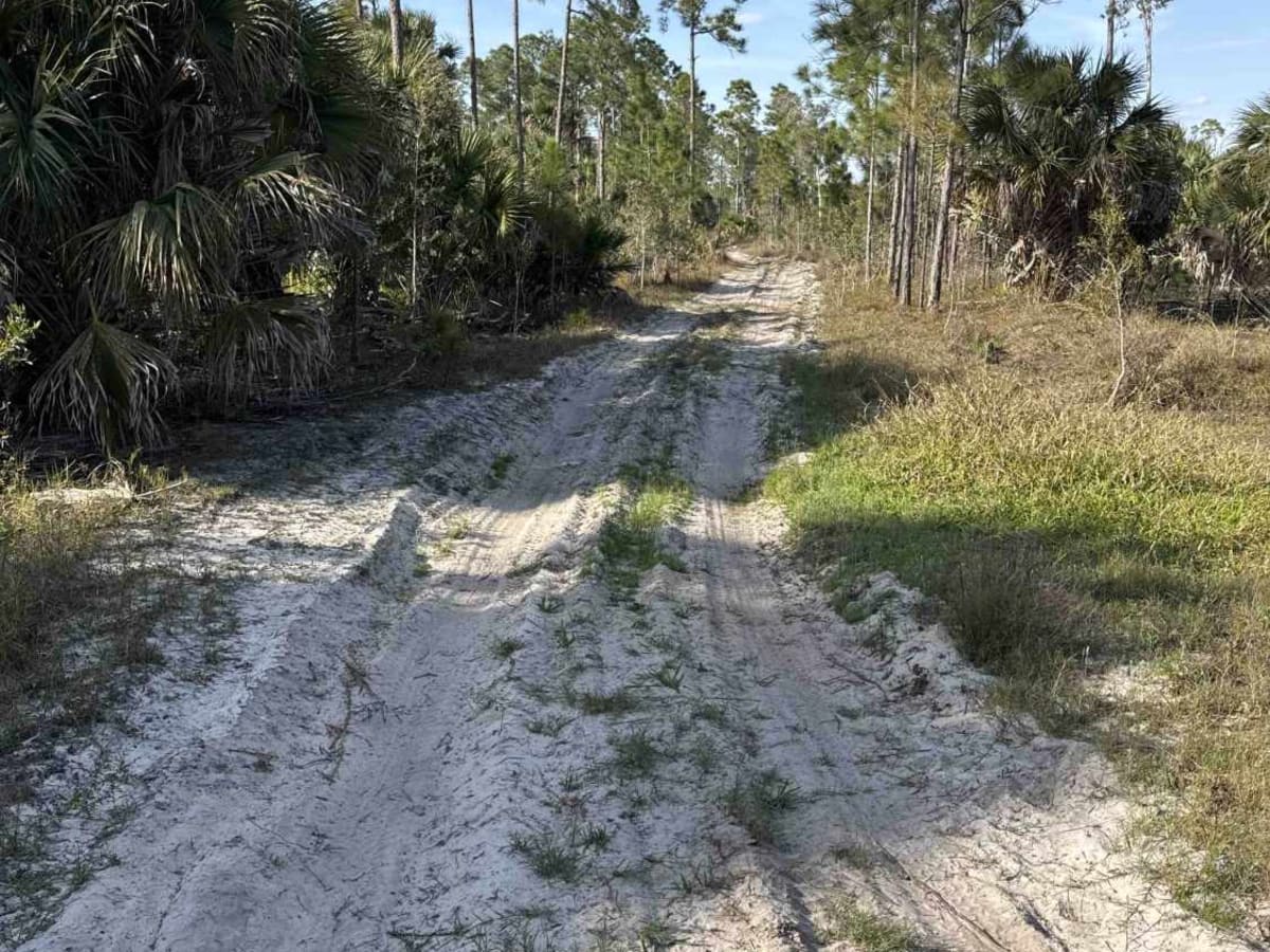 Kirkland Hammock Trail photo 2