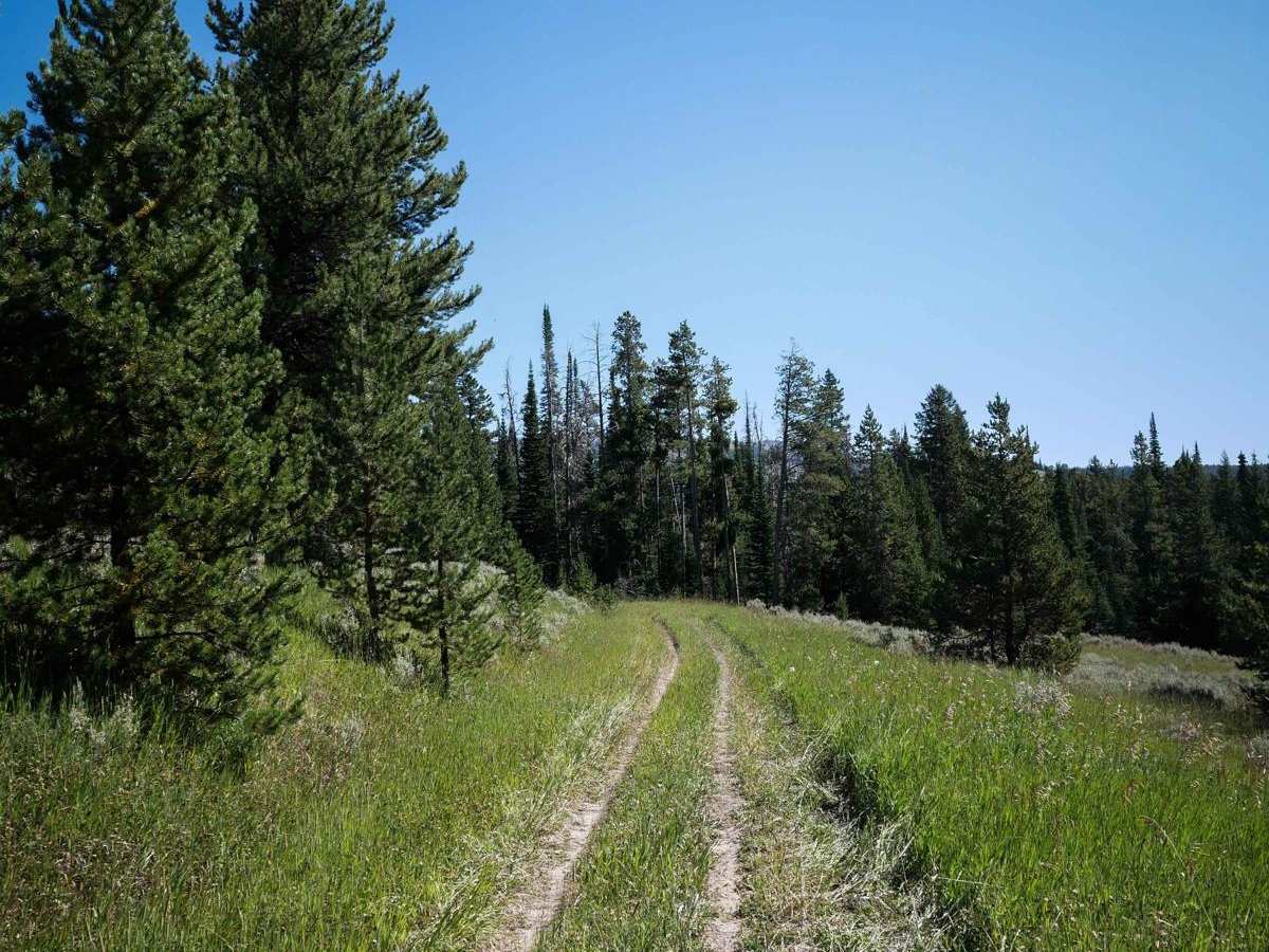 Dead Horse Creek photo 4