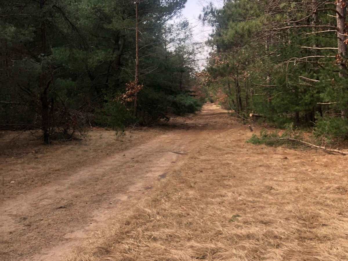 NFS Road 9883 photo 2
