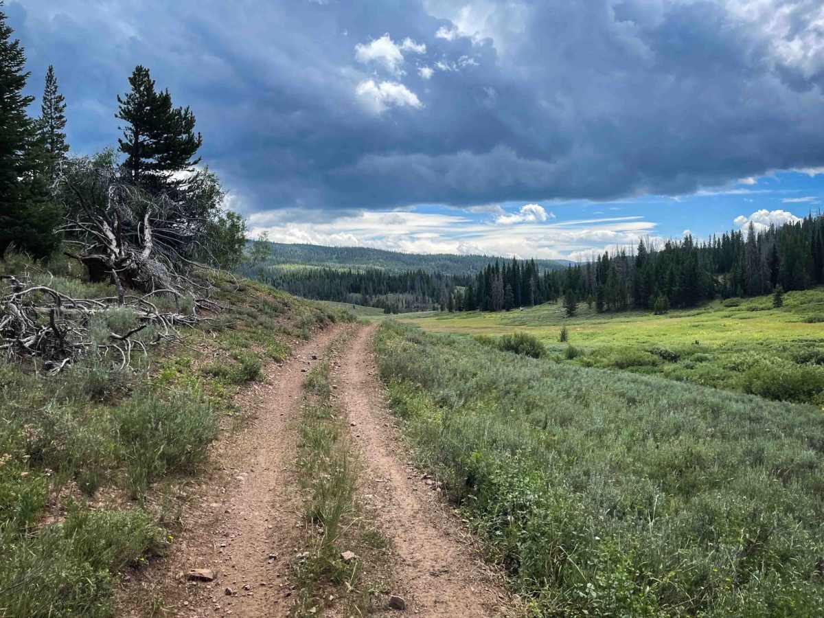 Pioneer trail photo