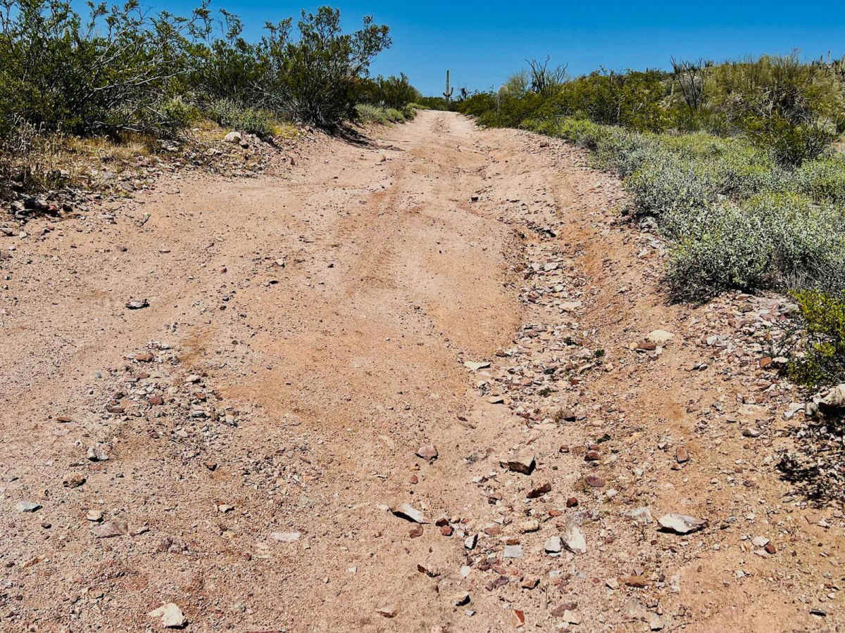 BLM 9095 photo 6
