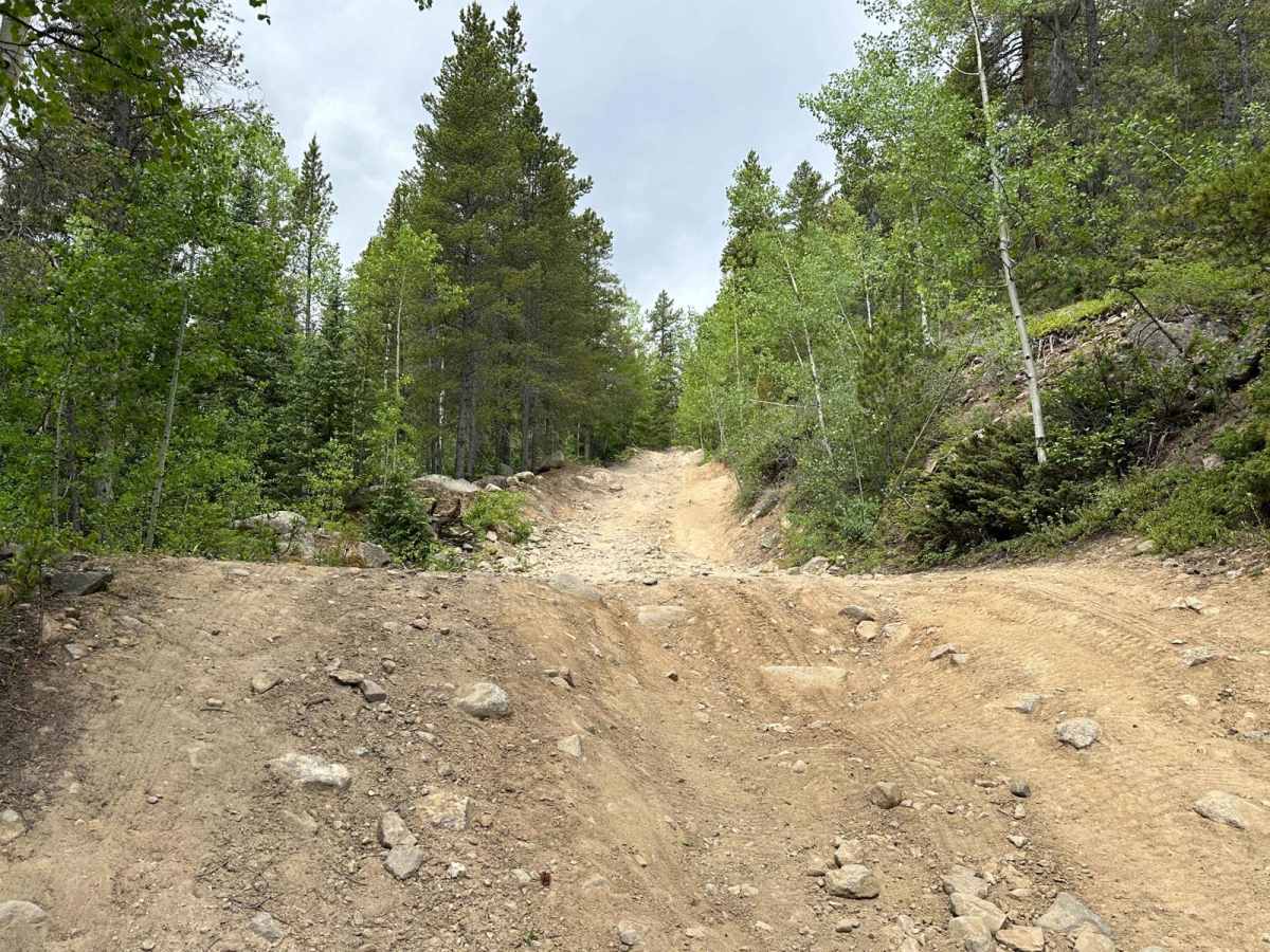Bard Creek Road photo 3