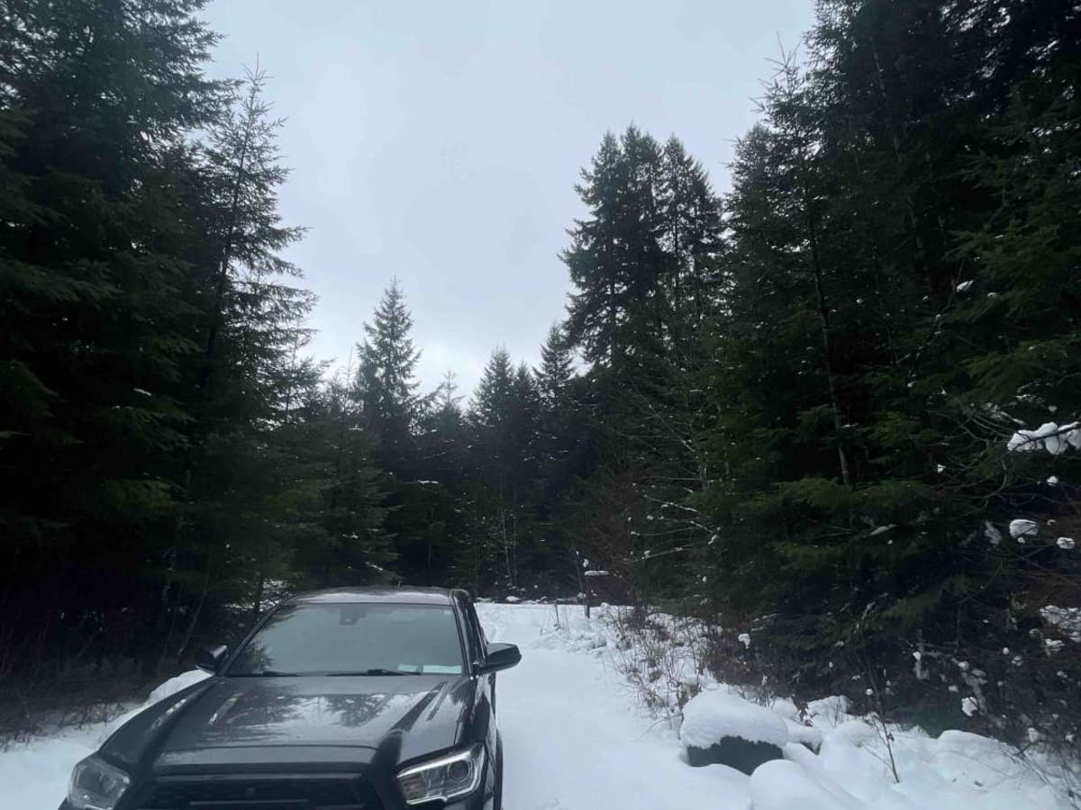 Carlson Creek Road photo 3