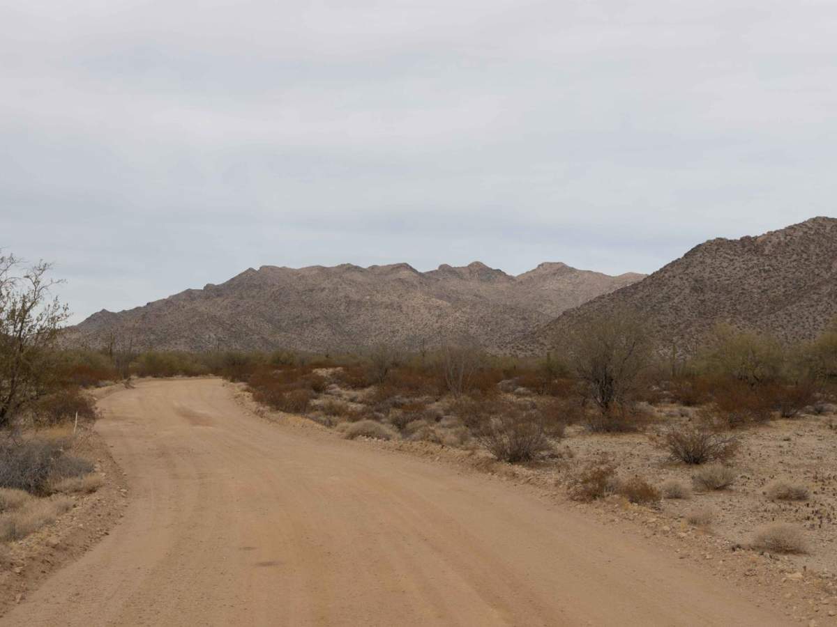 Rattlesnake Road photo 4