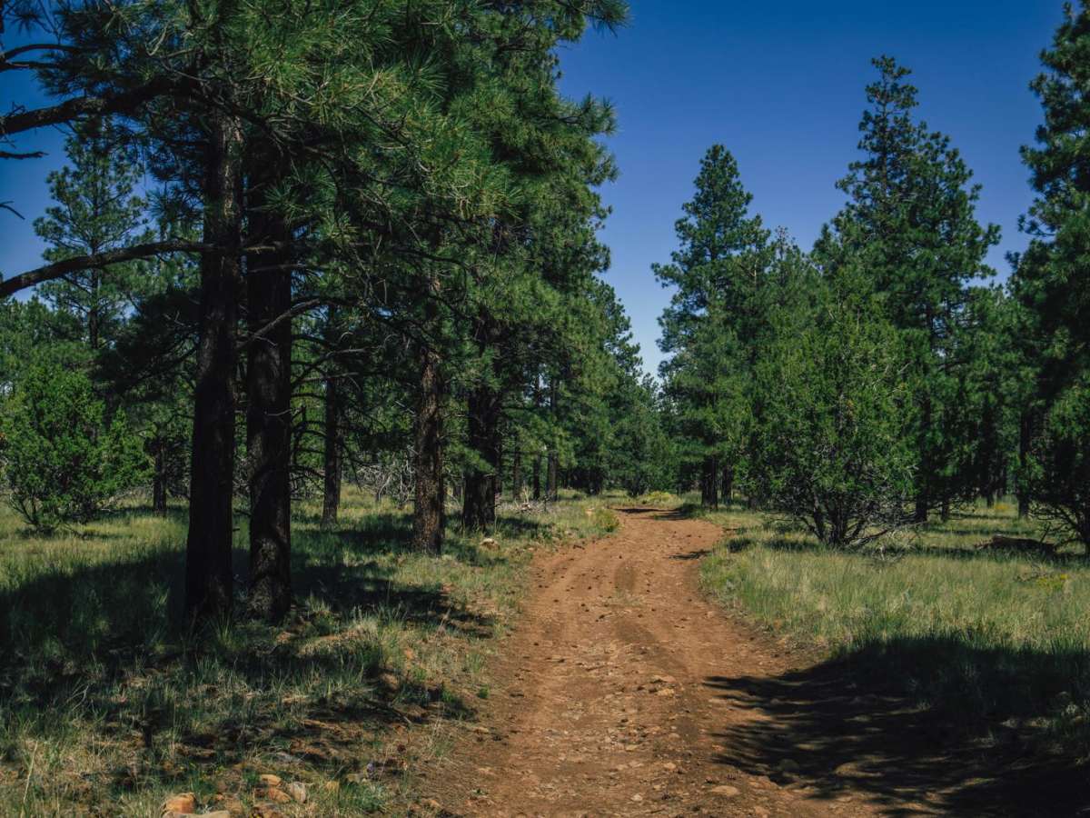 Bear Jaw Canyon photo 5