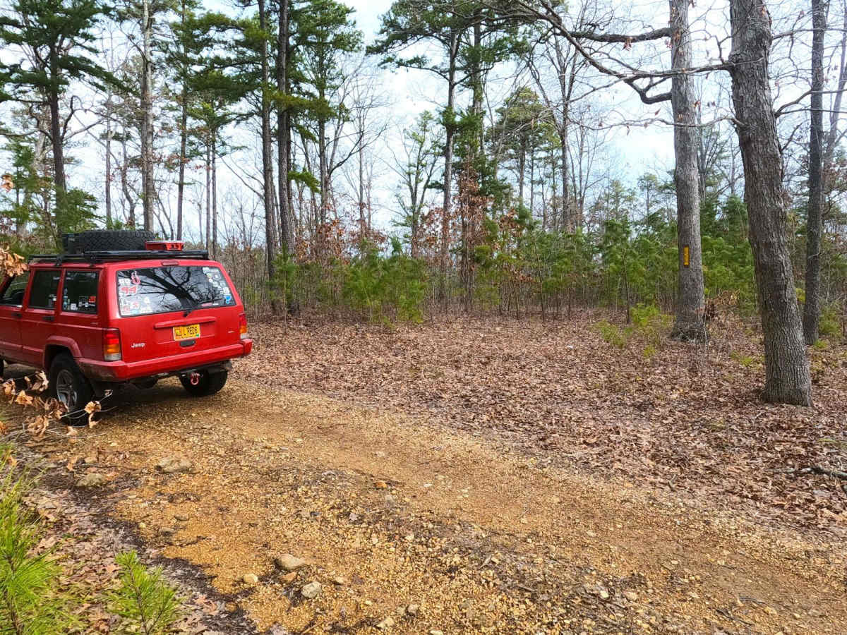 Trace Branch - FS 2225 photo 6