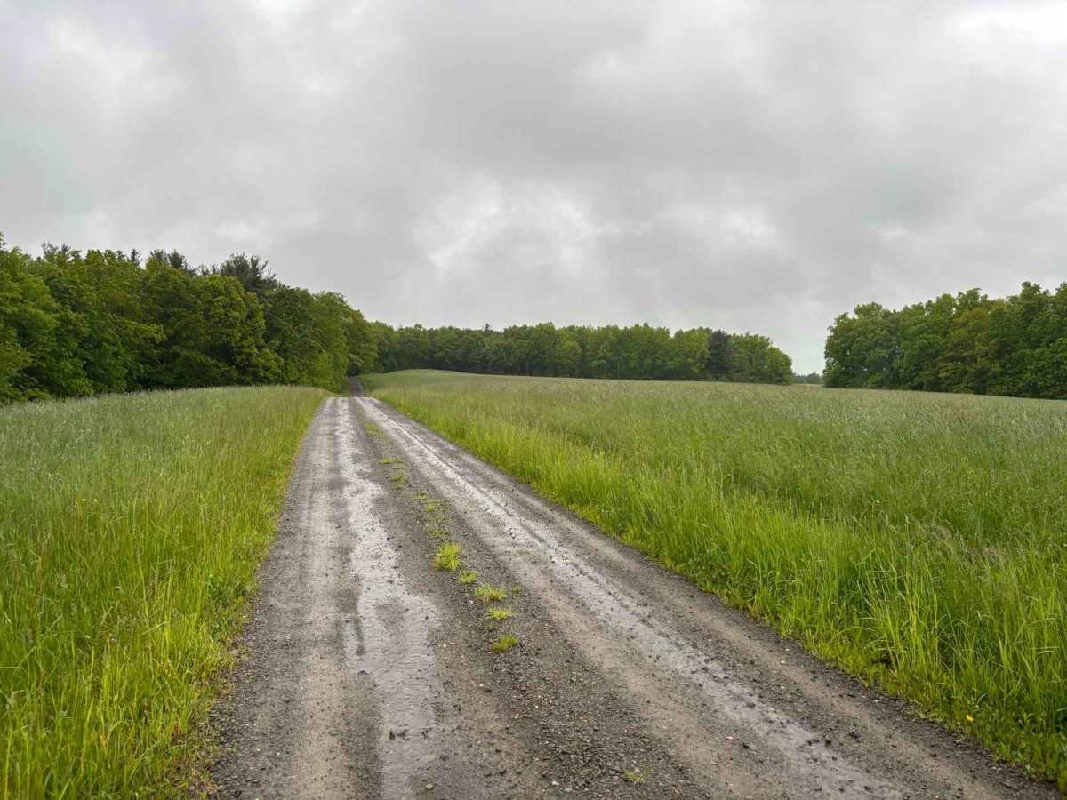 Tobey Road photo 5