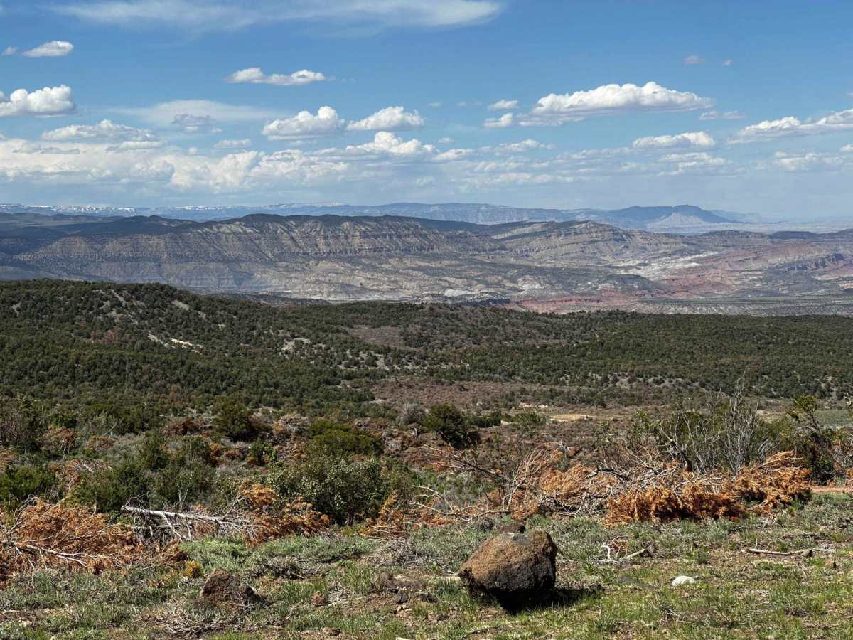 Thousand Lake Mountain Road photo 6