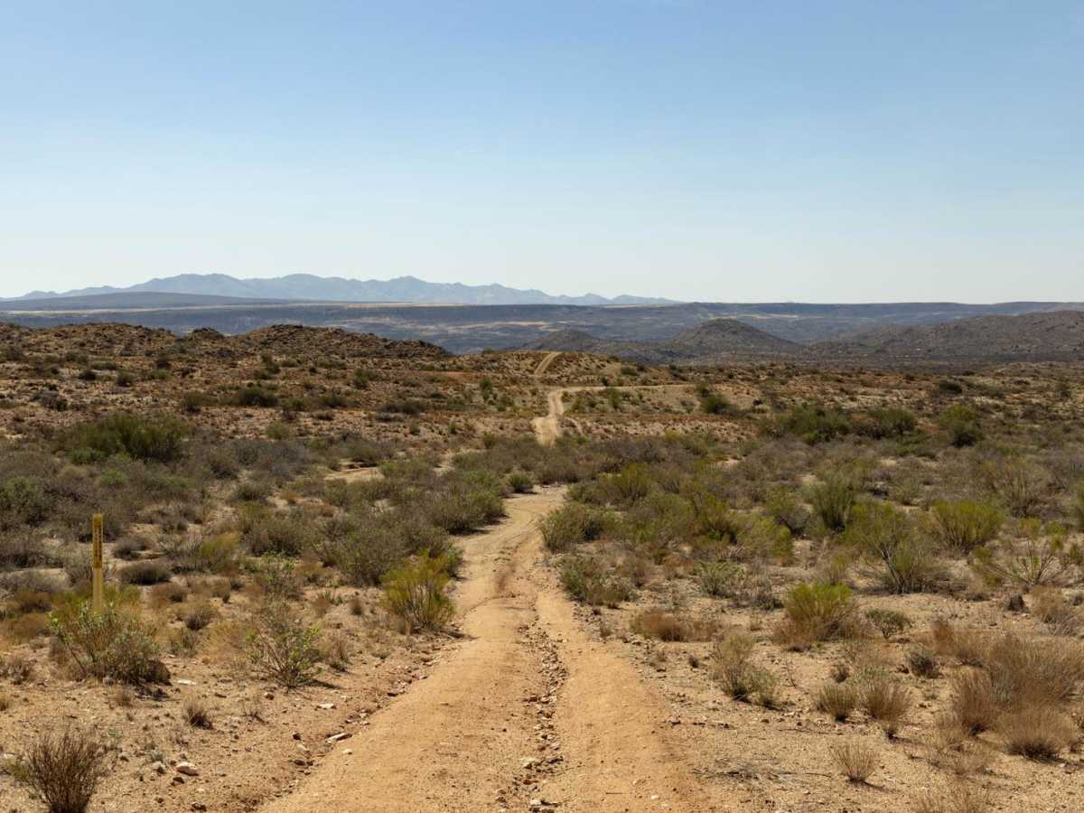 Rock N Roller trail photo