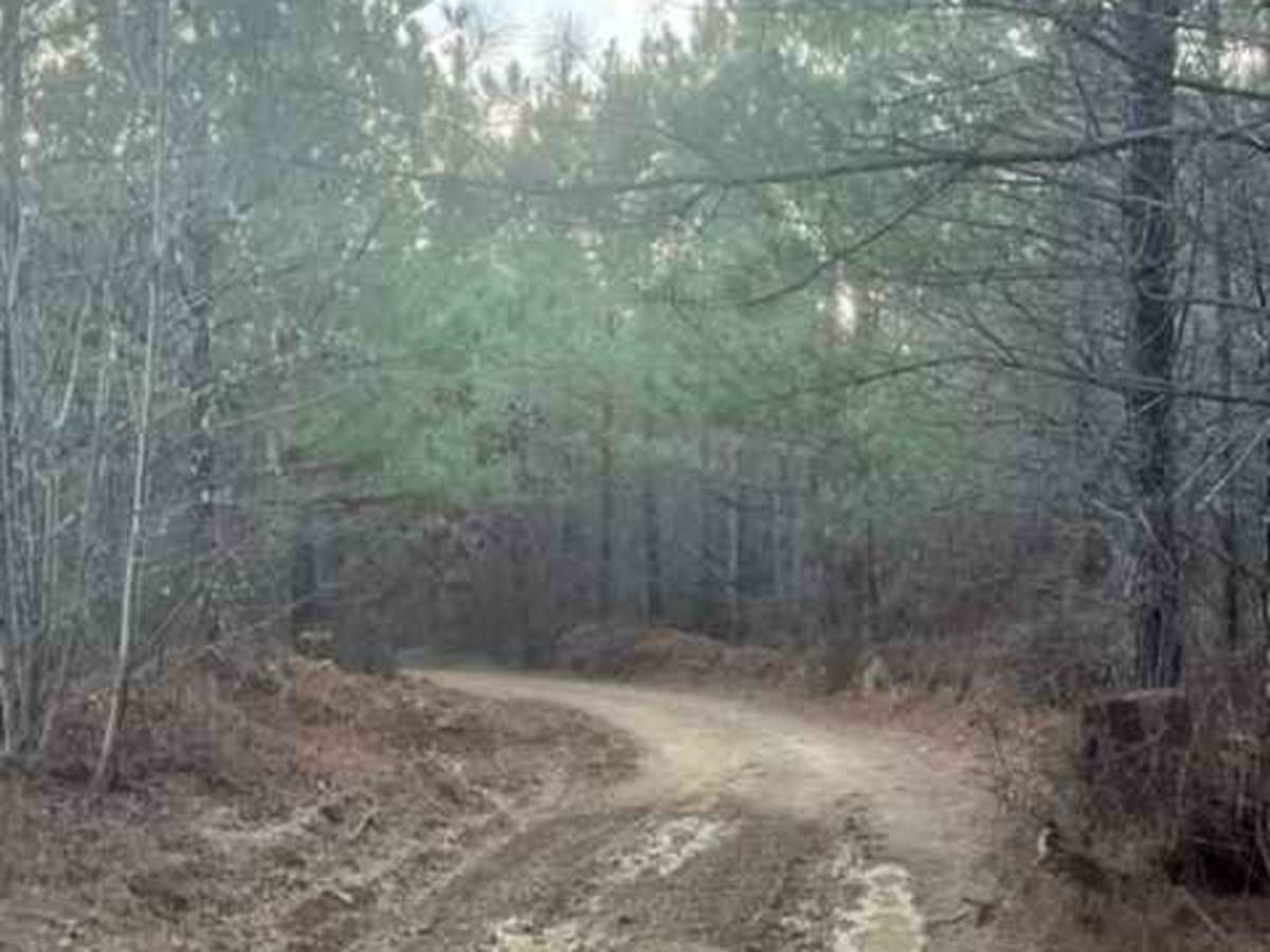 Coalmont Trail 11 Green photo 4