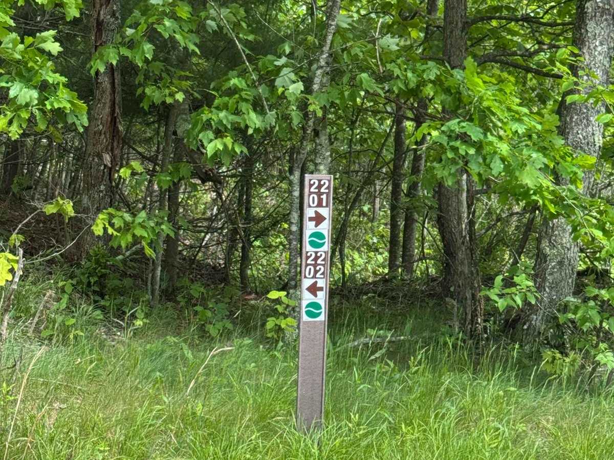 2202 Connector photo 6