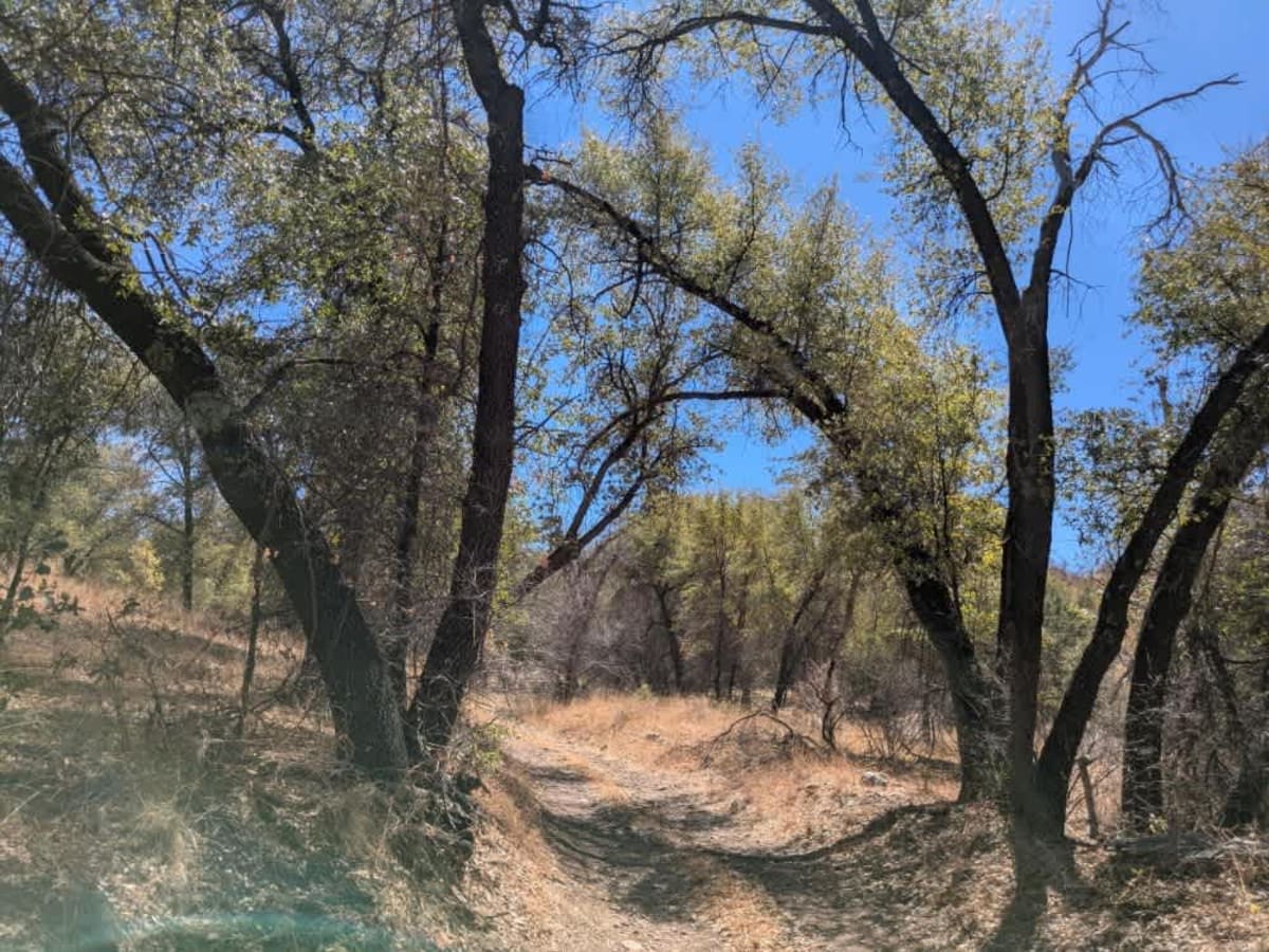 Parker Canyon photo 3