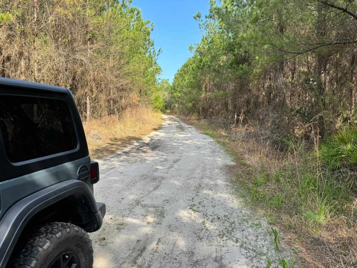Fish Camp Road North photo 2
