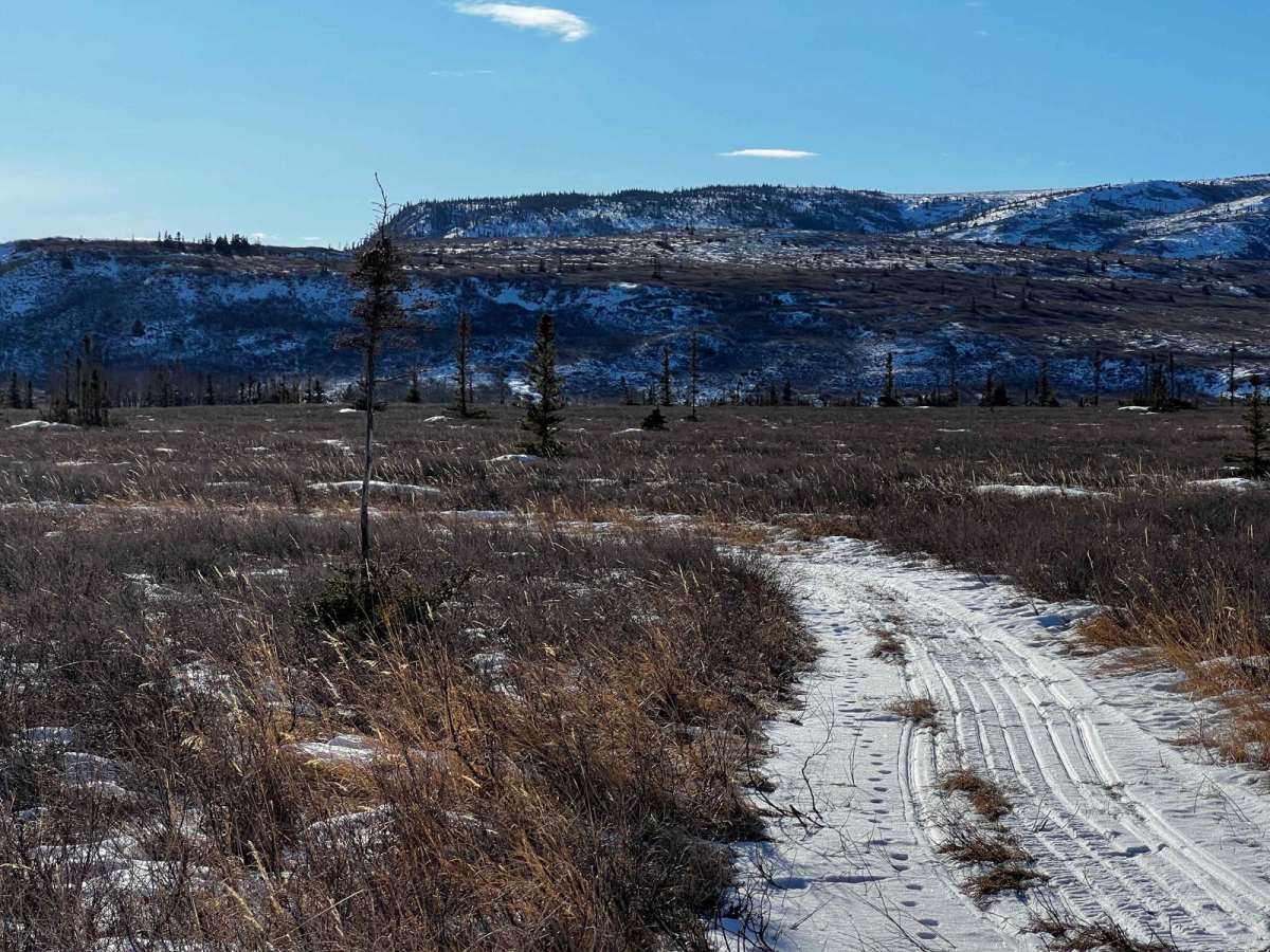 Jarvis Creek Loop trail photo