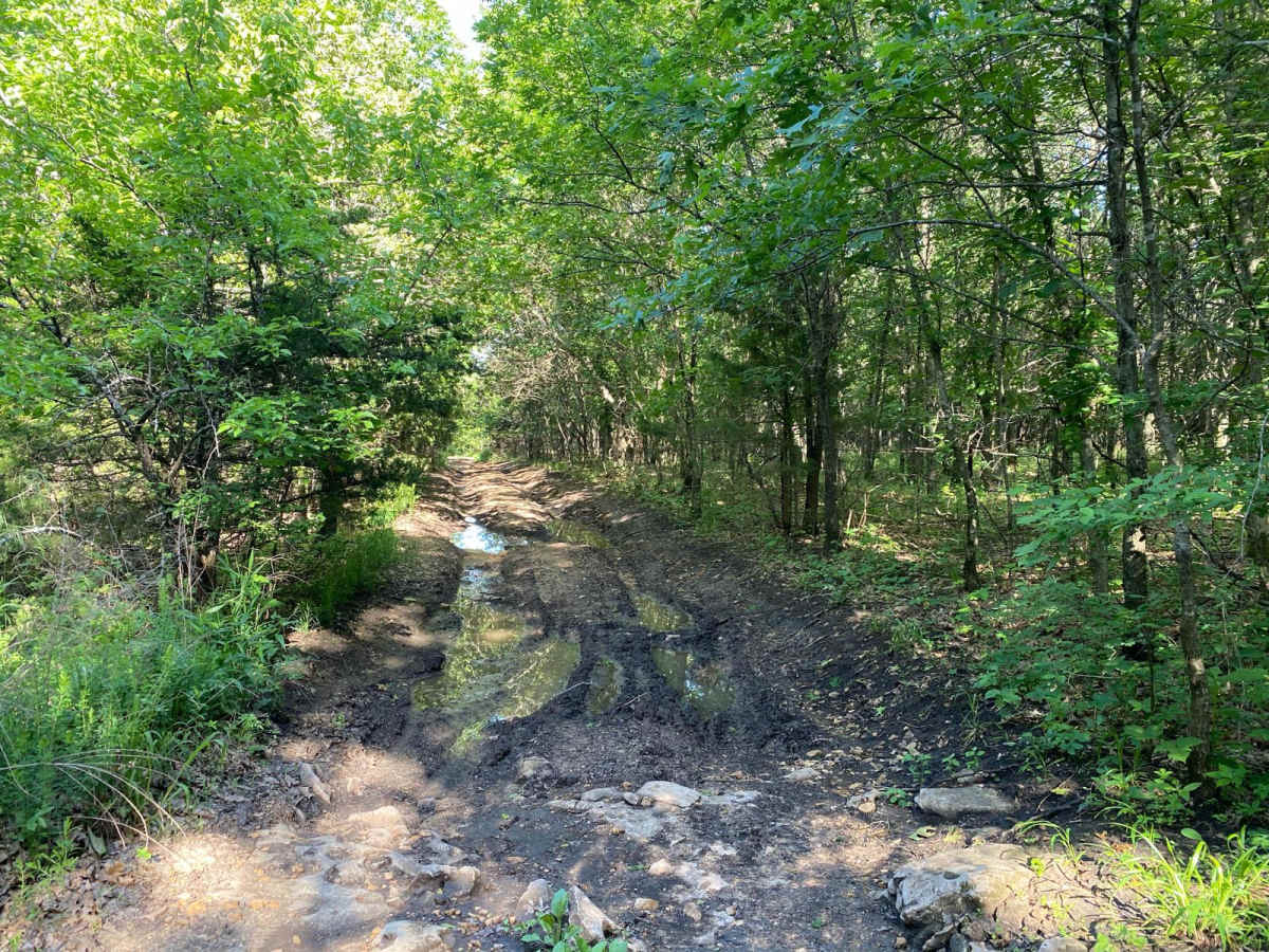 Coyote Camp photo 3