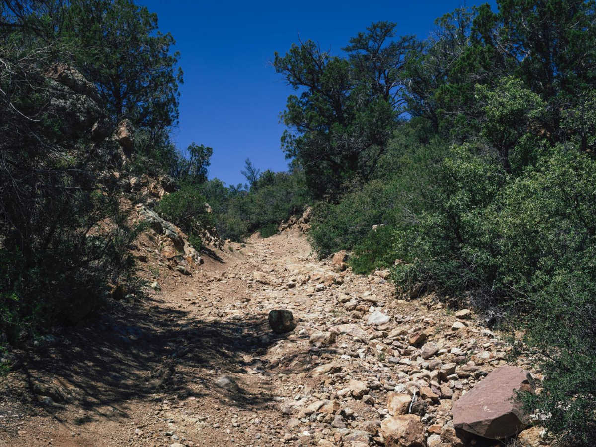 Old Camp Wood Road photo 2