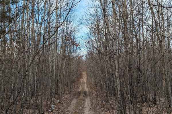 Washburn Trail
