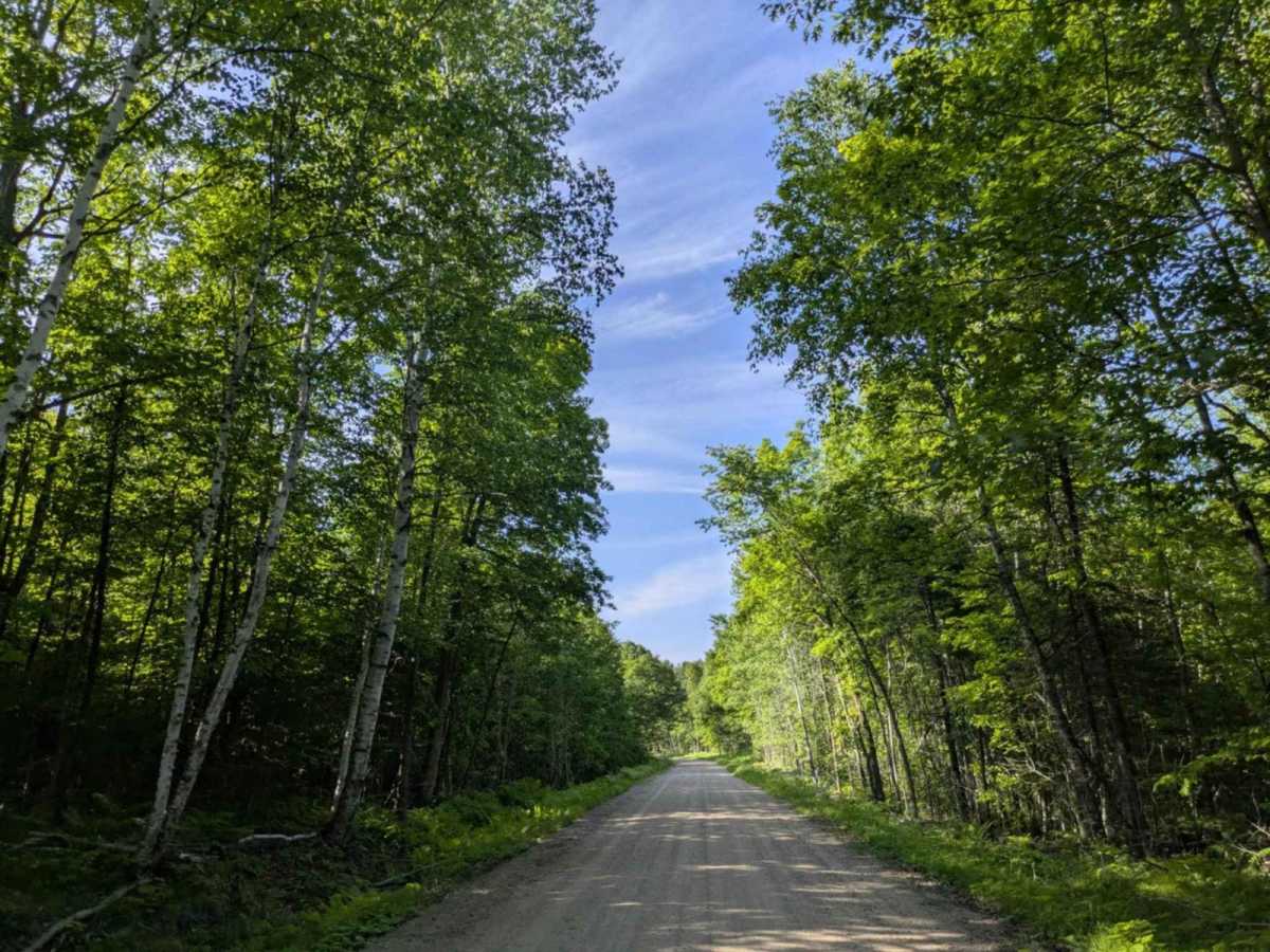FS 2213 trail photo