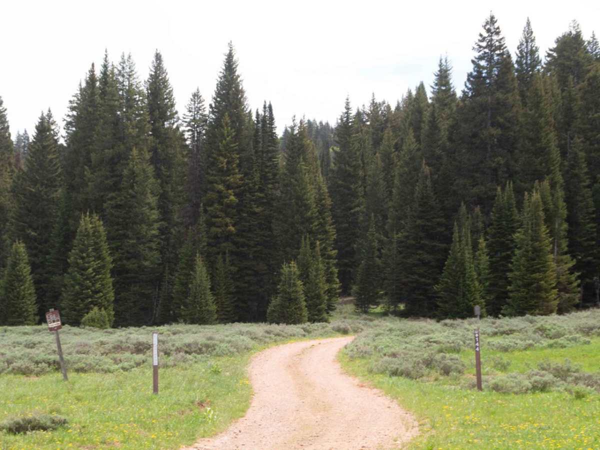 6 Bit Springs Road photo 2