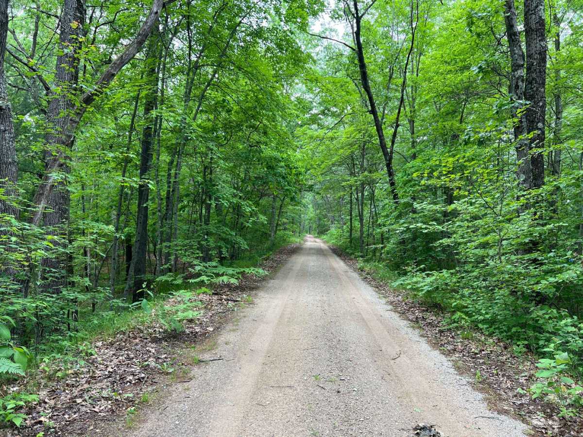 Highbank Lake Trail (NFS 5396) photo 6