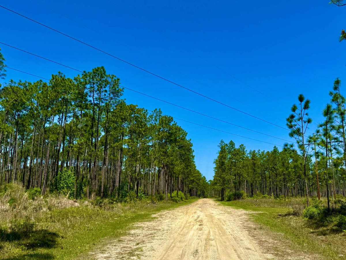Owl Creek 129-A photo 5