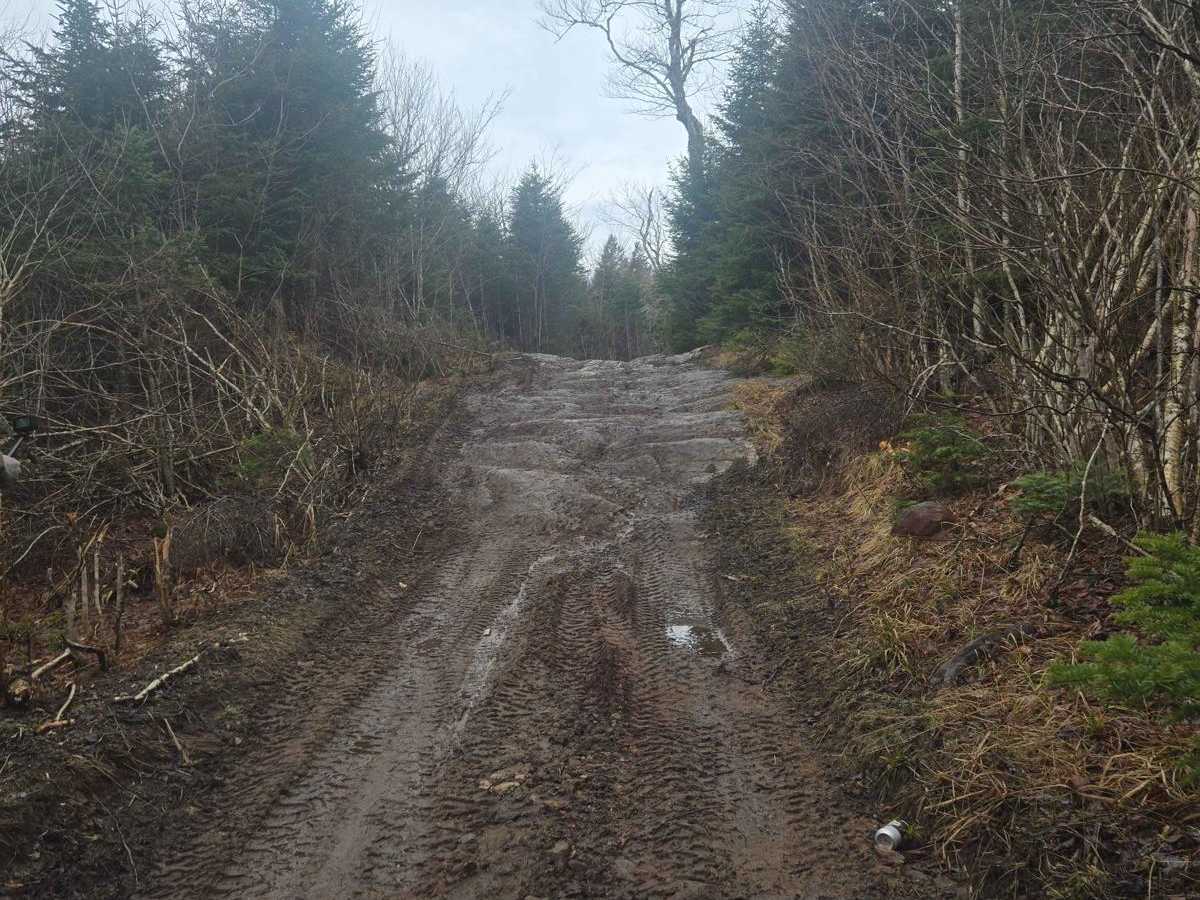 Rocky brook rd photo 2