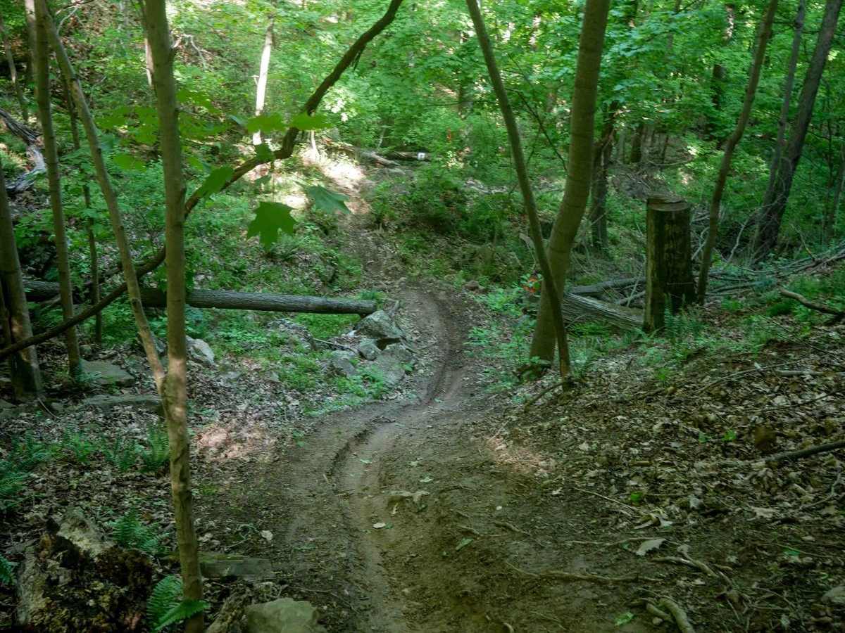 River Road photo 4