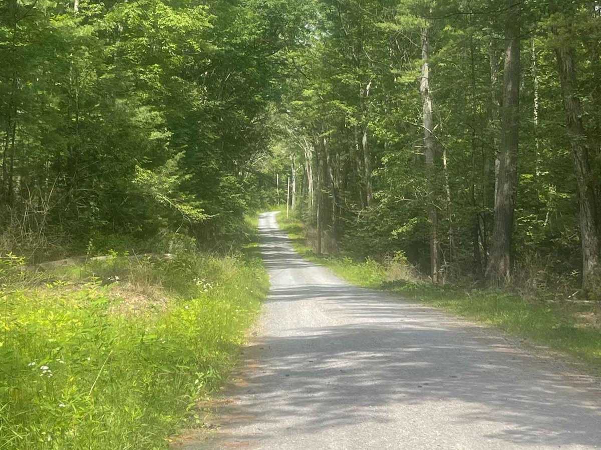 White Deer Creek Road photo 4