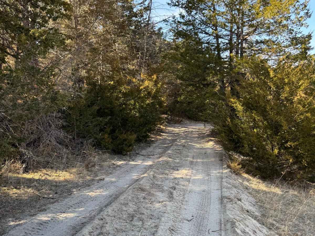 Forest Road 201-1 photo 6