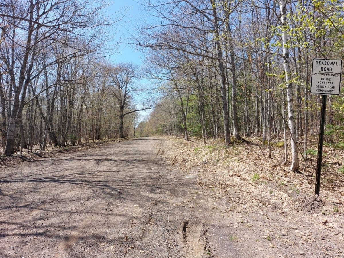 Delaware Crosscut photo 4