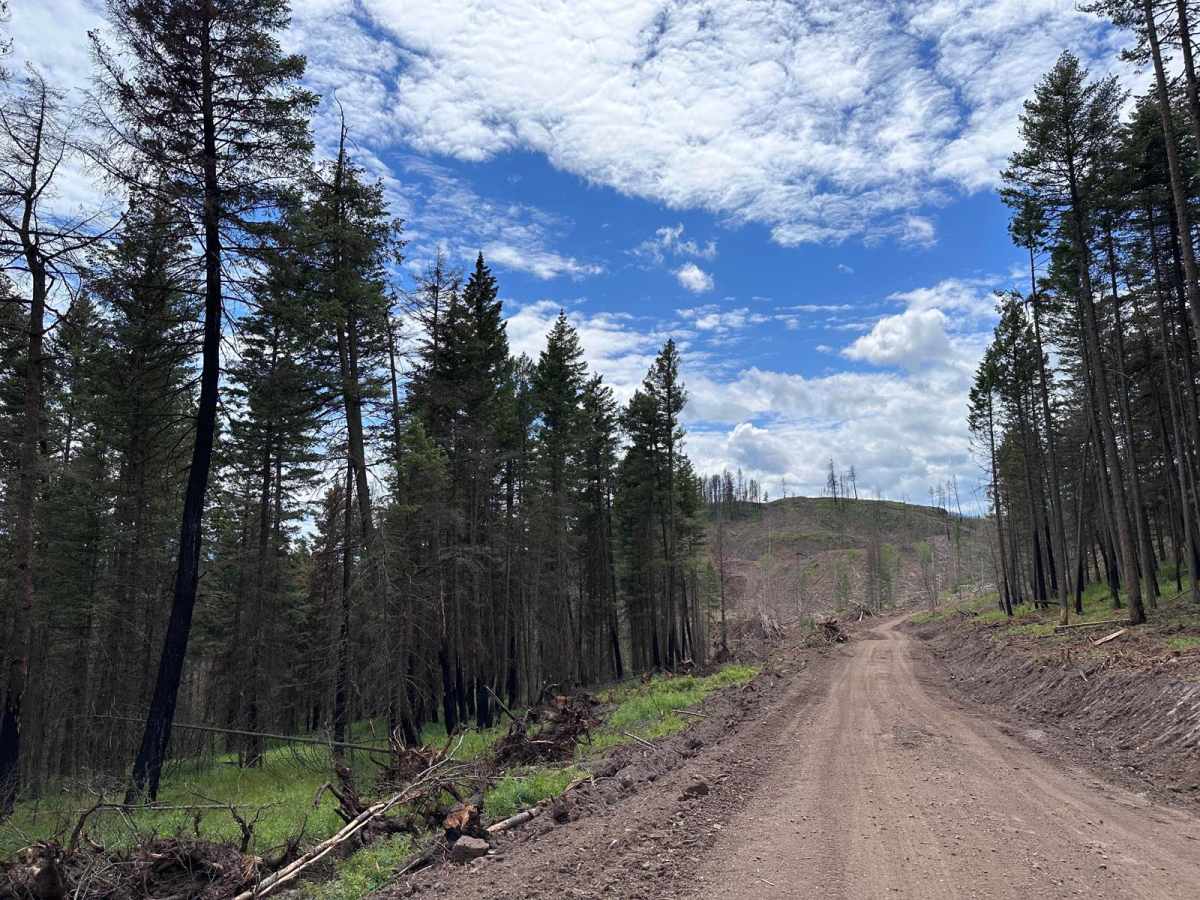New Fire Road photo 2