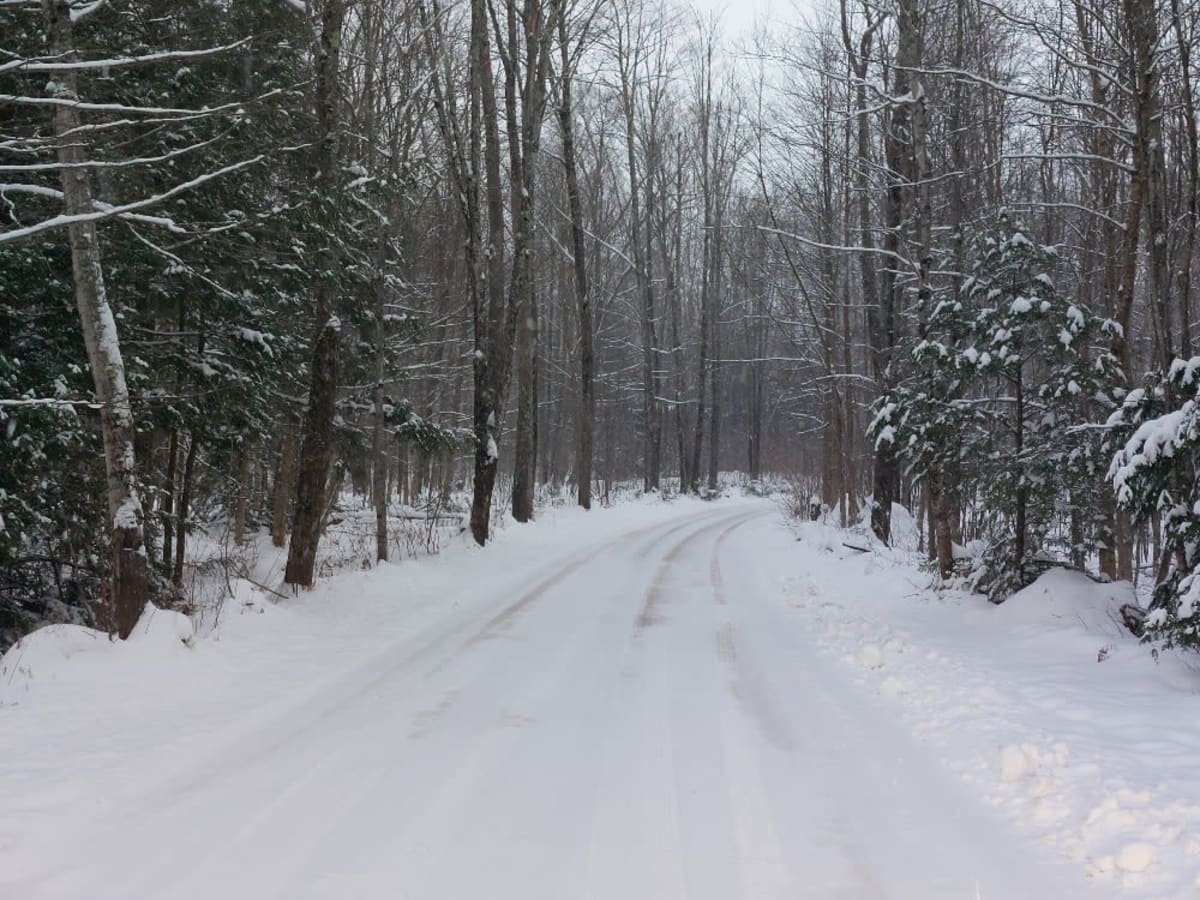 Covered Drive trail photo