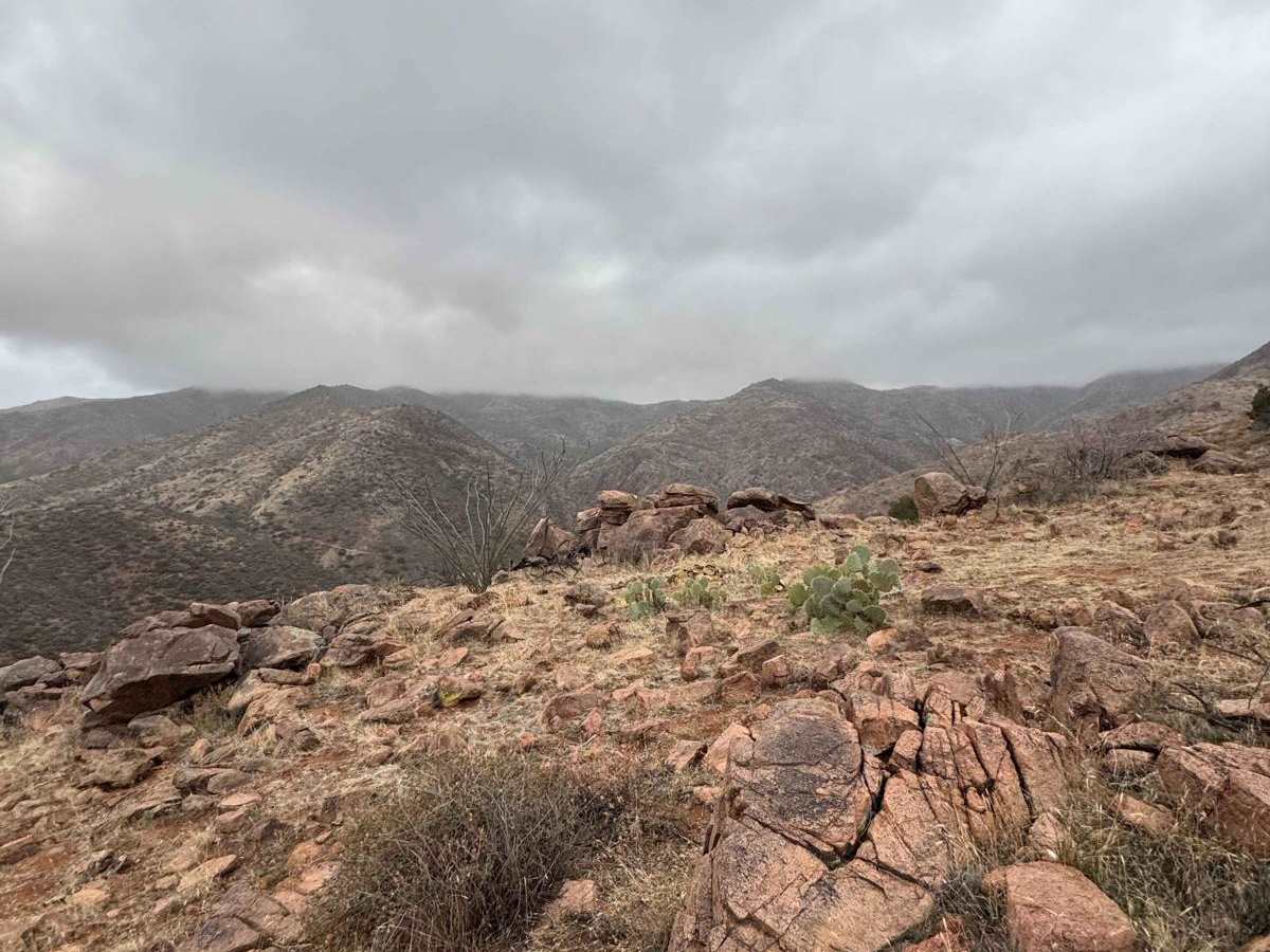 Benchmark Mountain photo 5