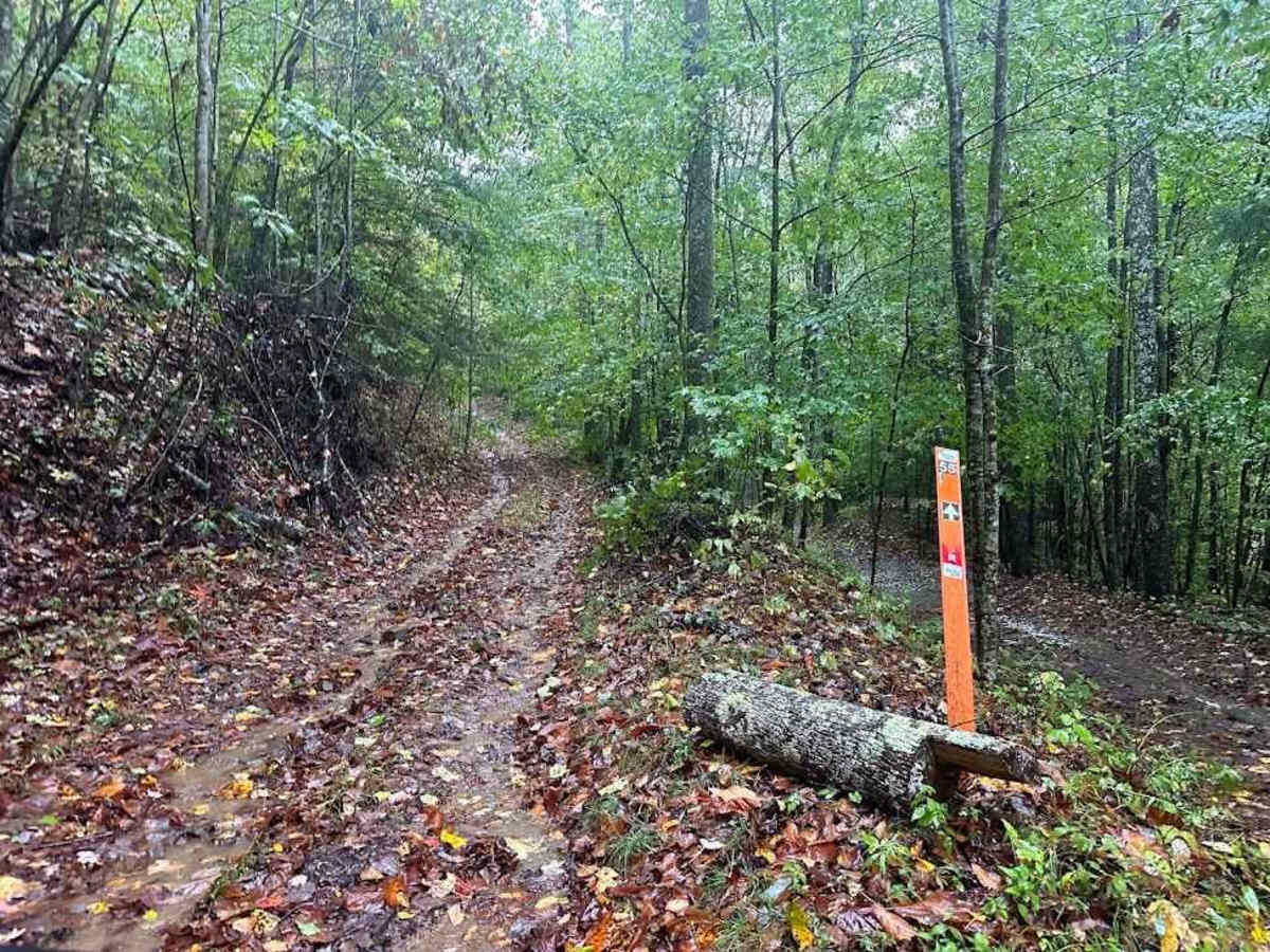 55 Blue trail photo