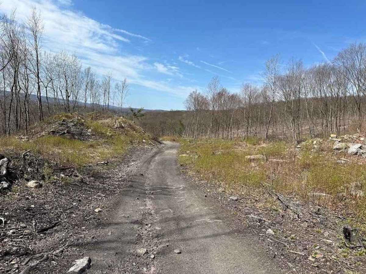 St. Keirns 8 trail photo