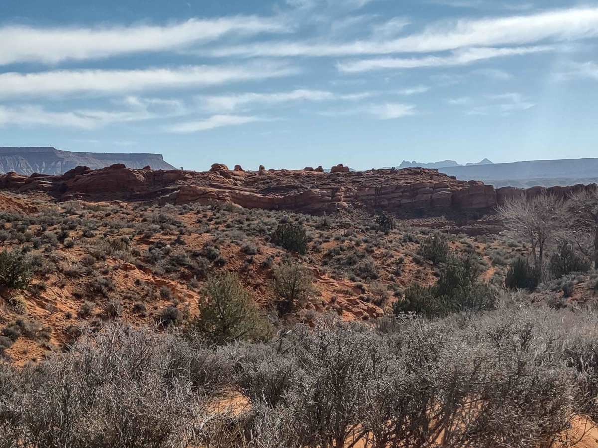Northeast Access Red Cliffs Rec Area photo 5