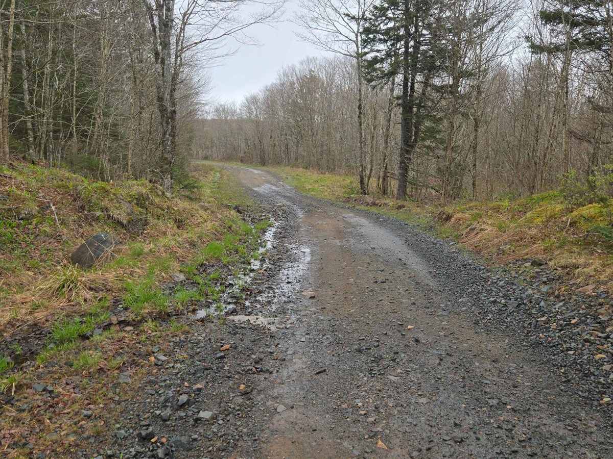 Totten Meadow Trail photo 4