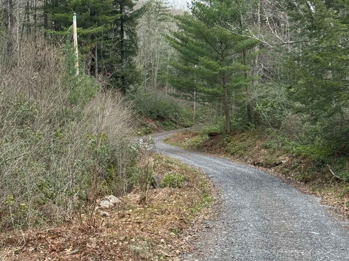 Little Boyer Road photo 3