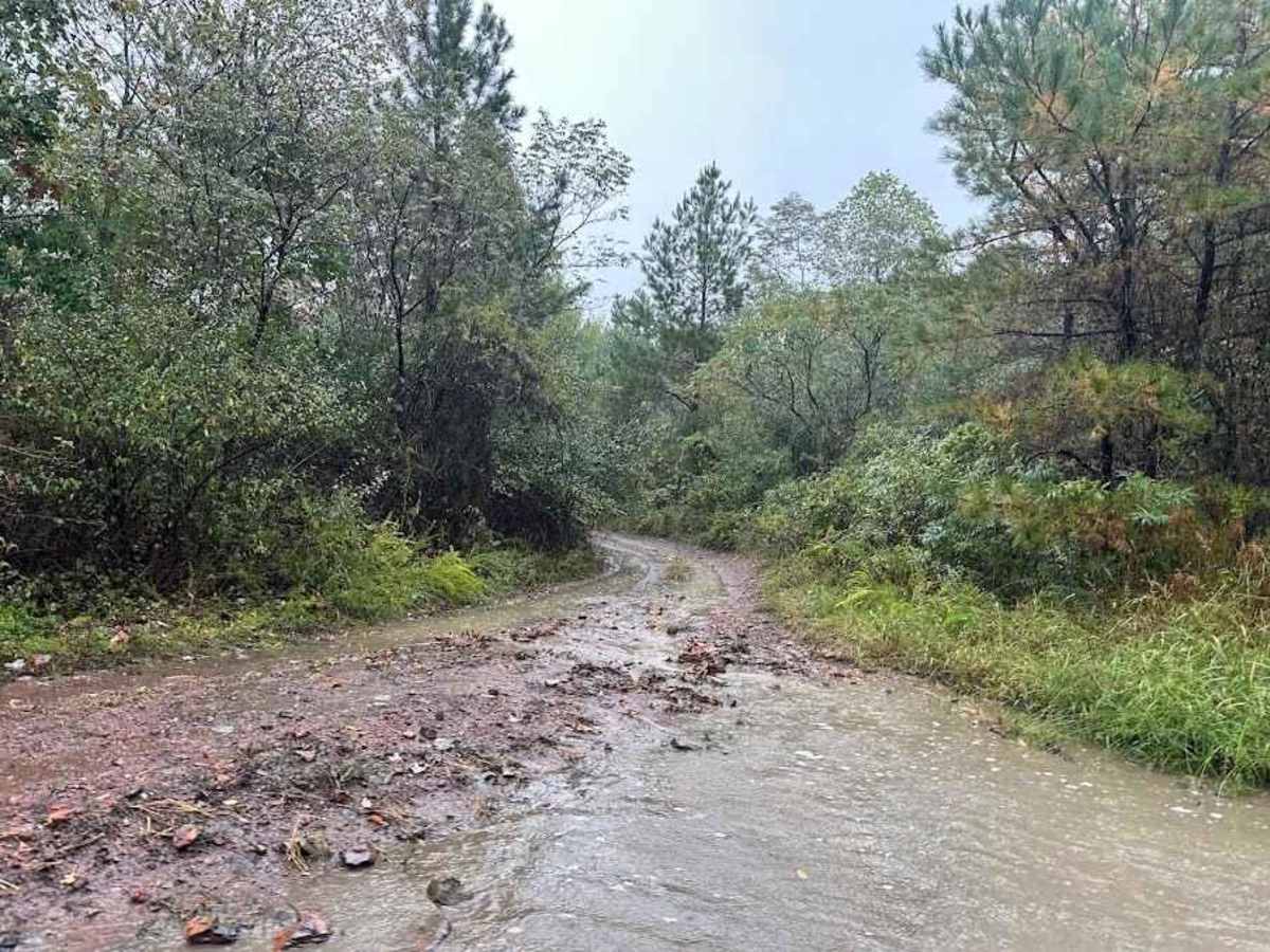K Green trail photo