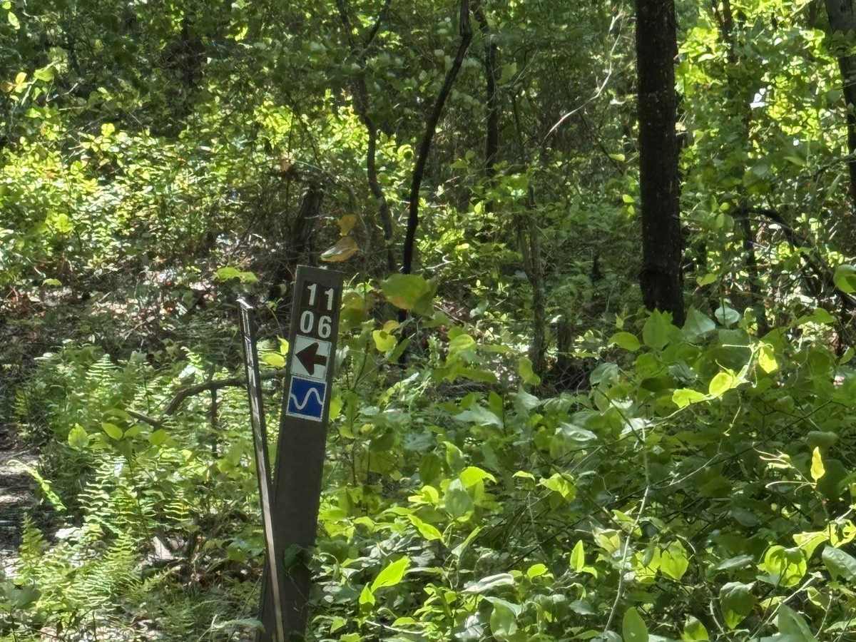 1106 Blue trail photo