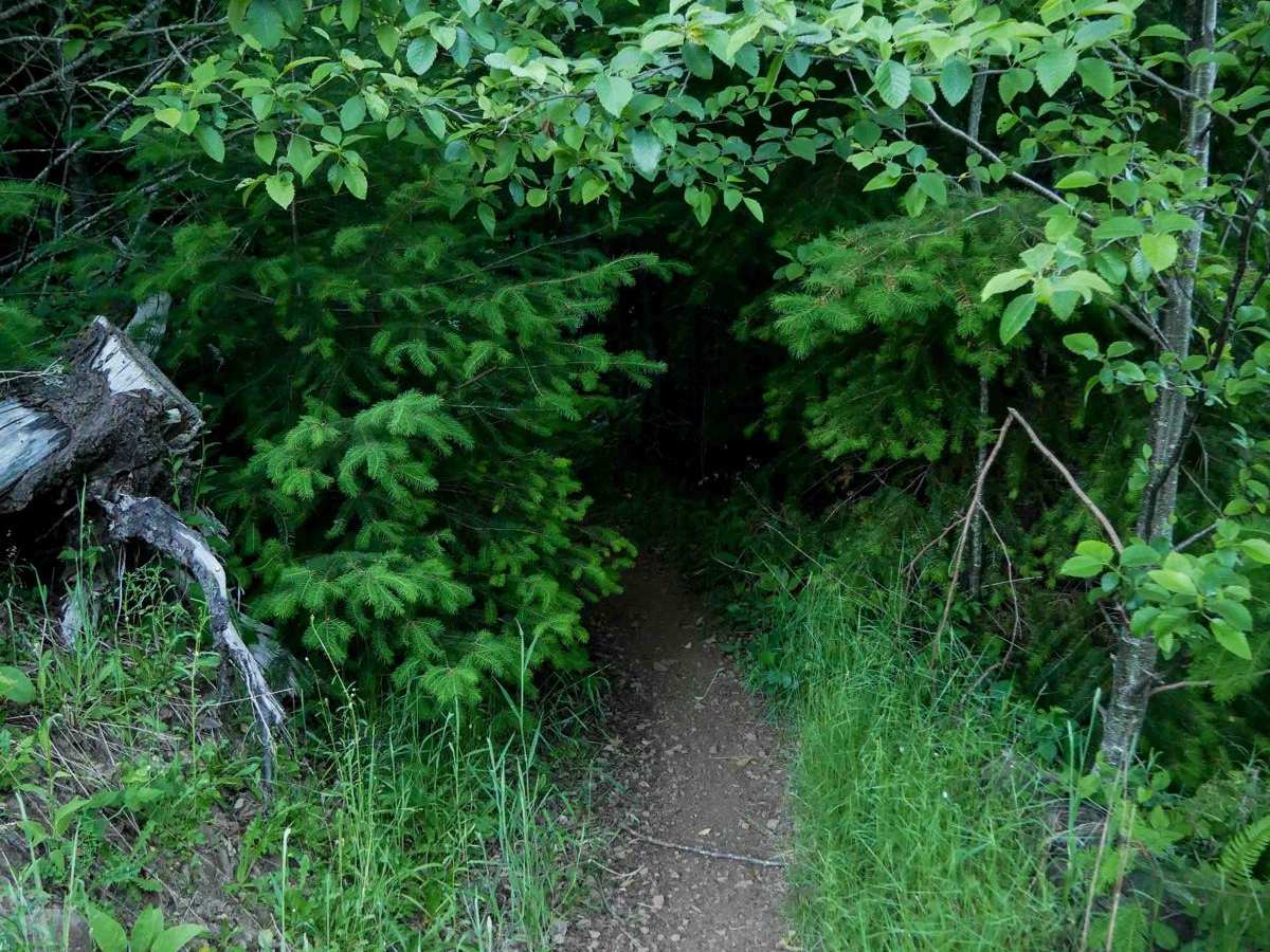 Beaverslide #52 (Difficult) photo 3