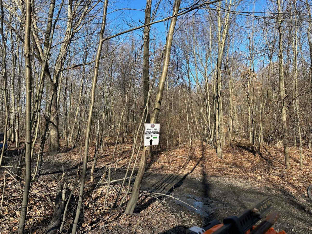 Locust Gap 12 photo 5