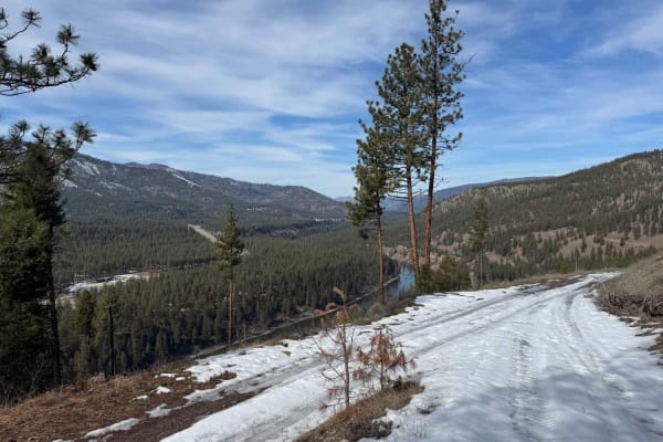 Micayune Gulch - FSR 1577
