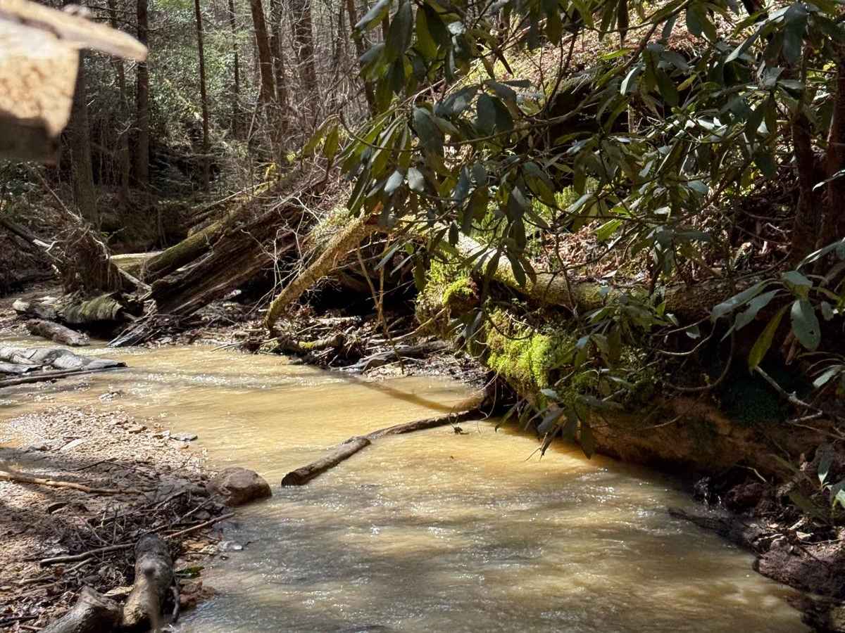 Trail 13 photo 3