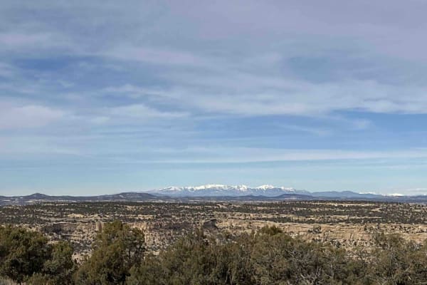 Manzanares Mesa