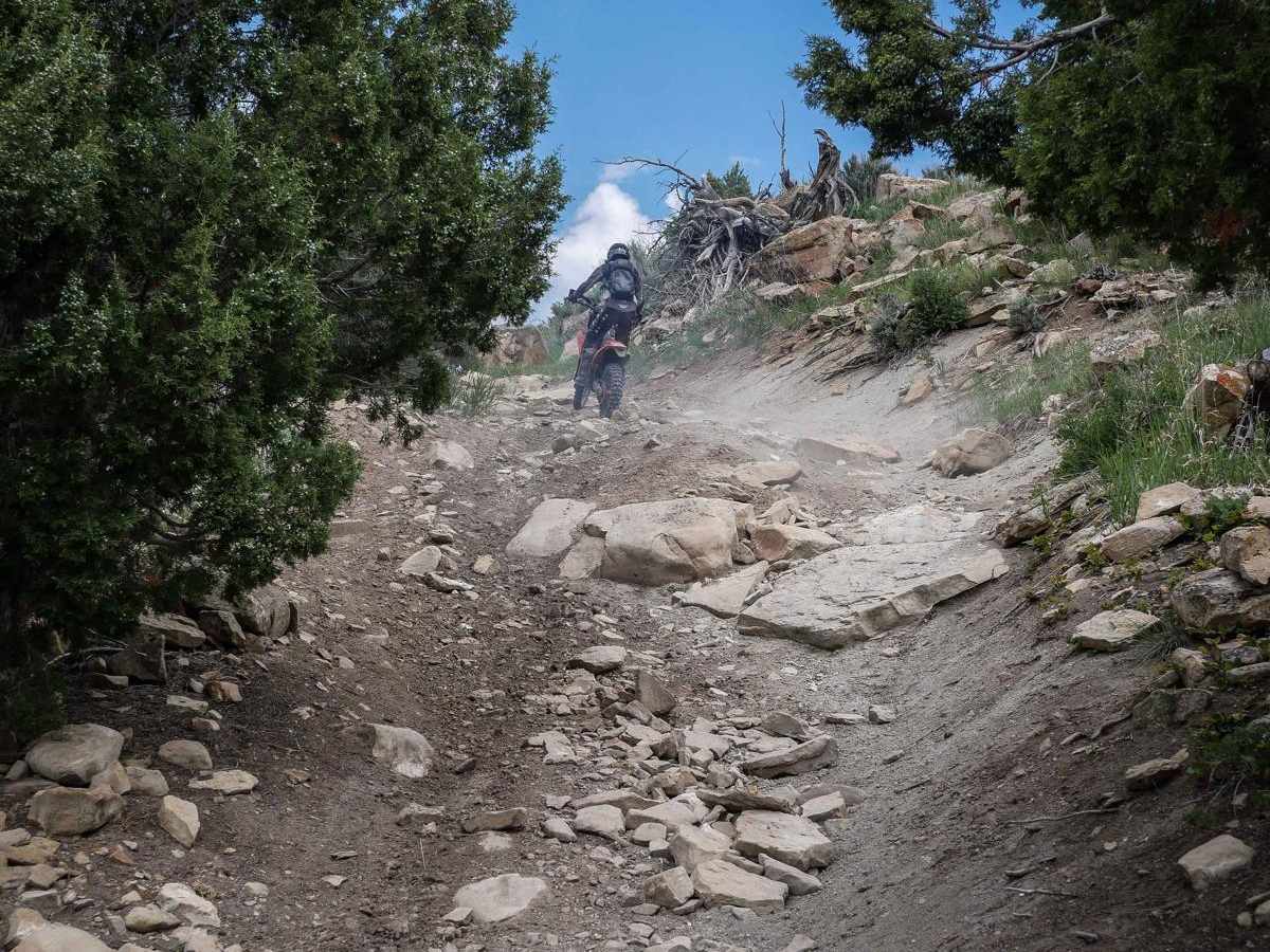Indian Creek to Willow Creek Ridge ATV trail photo