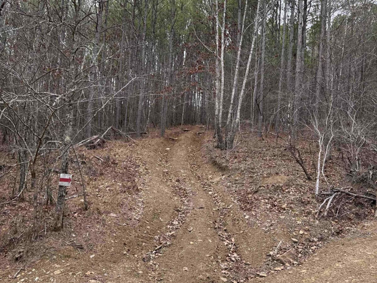 #85 Maze trail photo