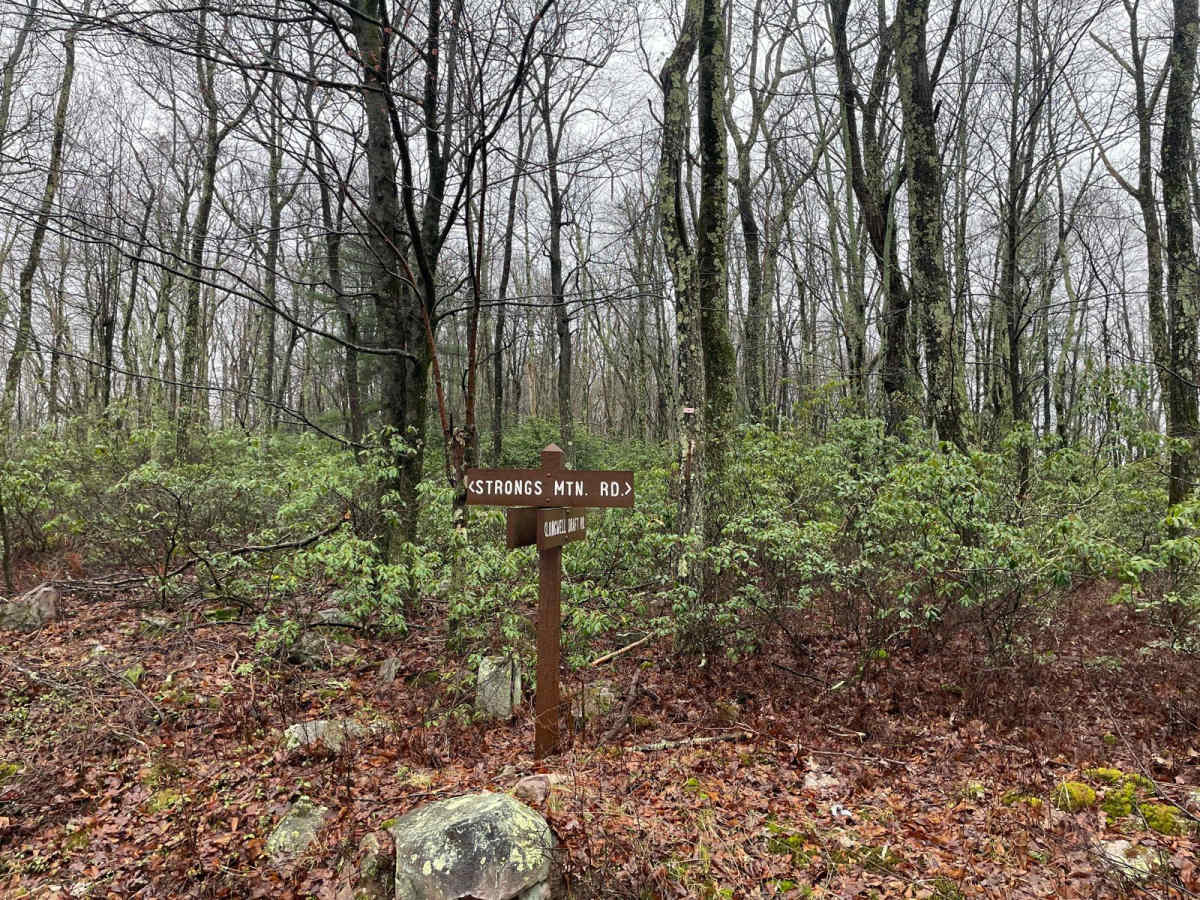Strongs Mountain Trail (Mid Portion) trail photo