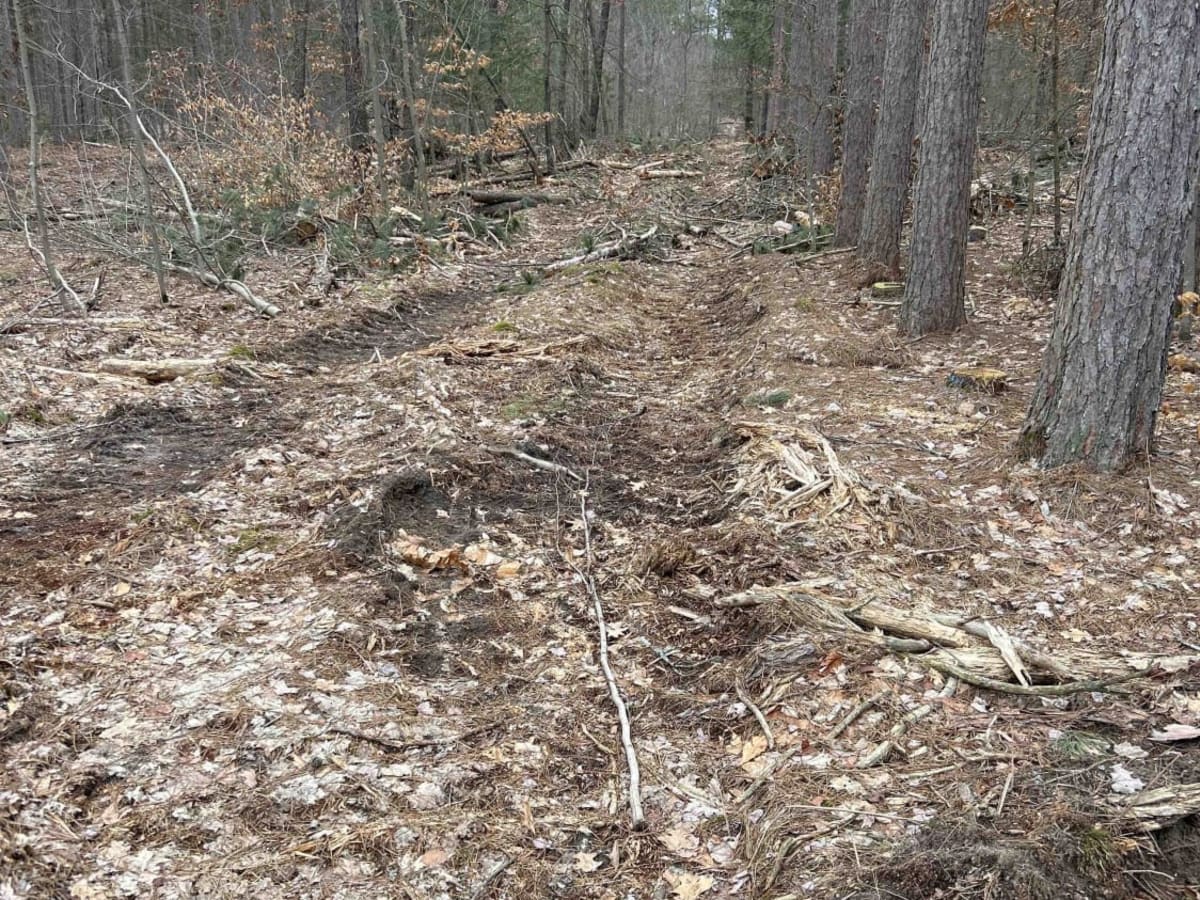 Oxford Lake Area photo 6